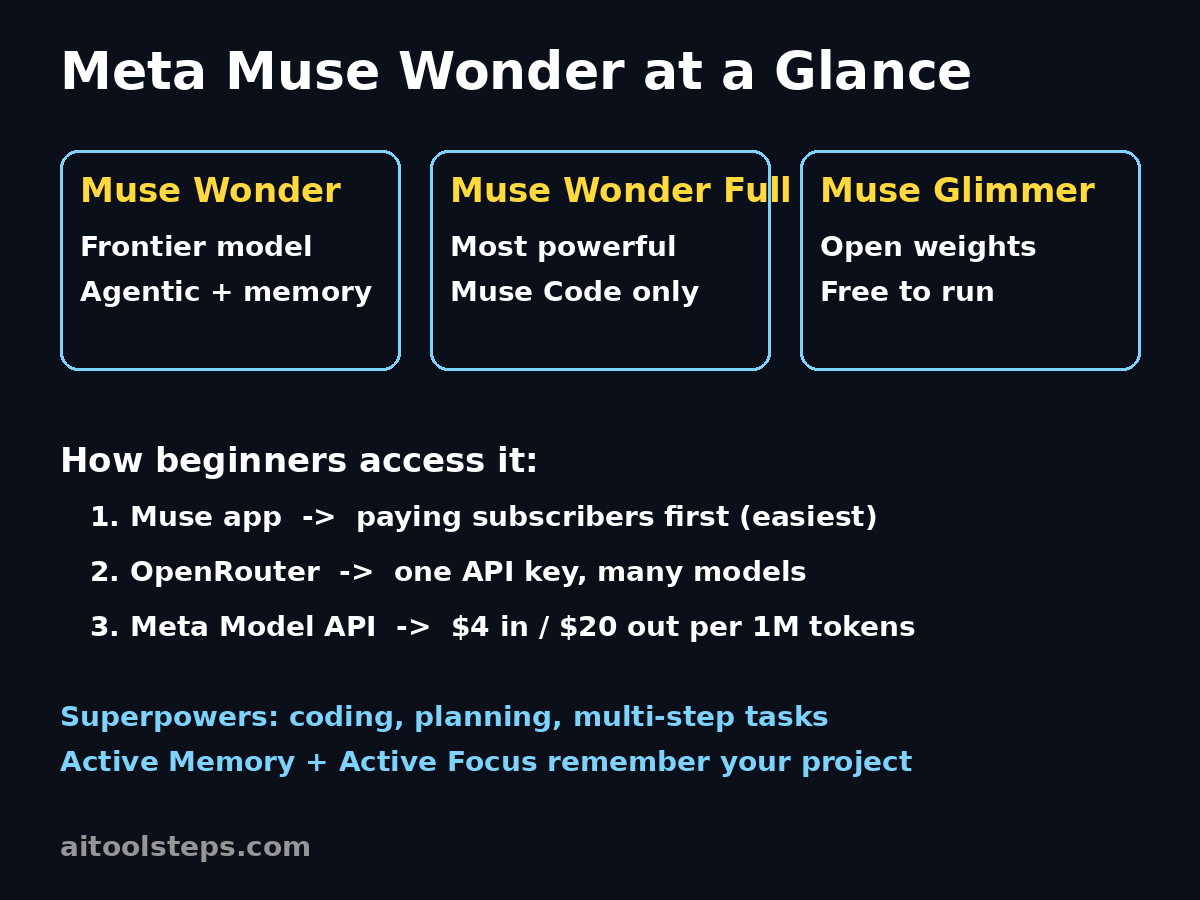 Meta Muse Wonder beginners guide diagram
