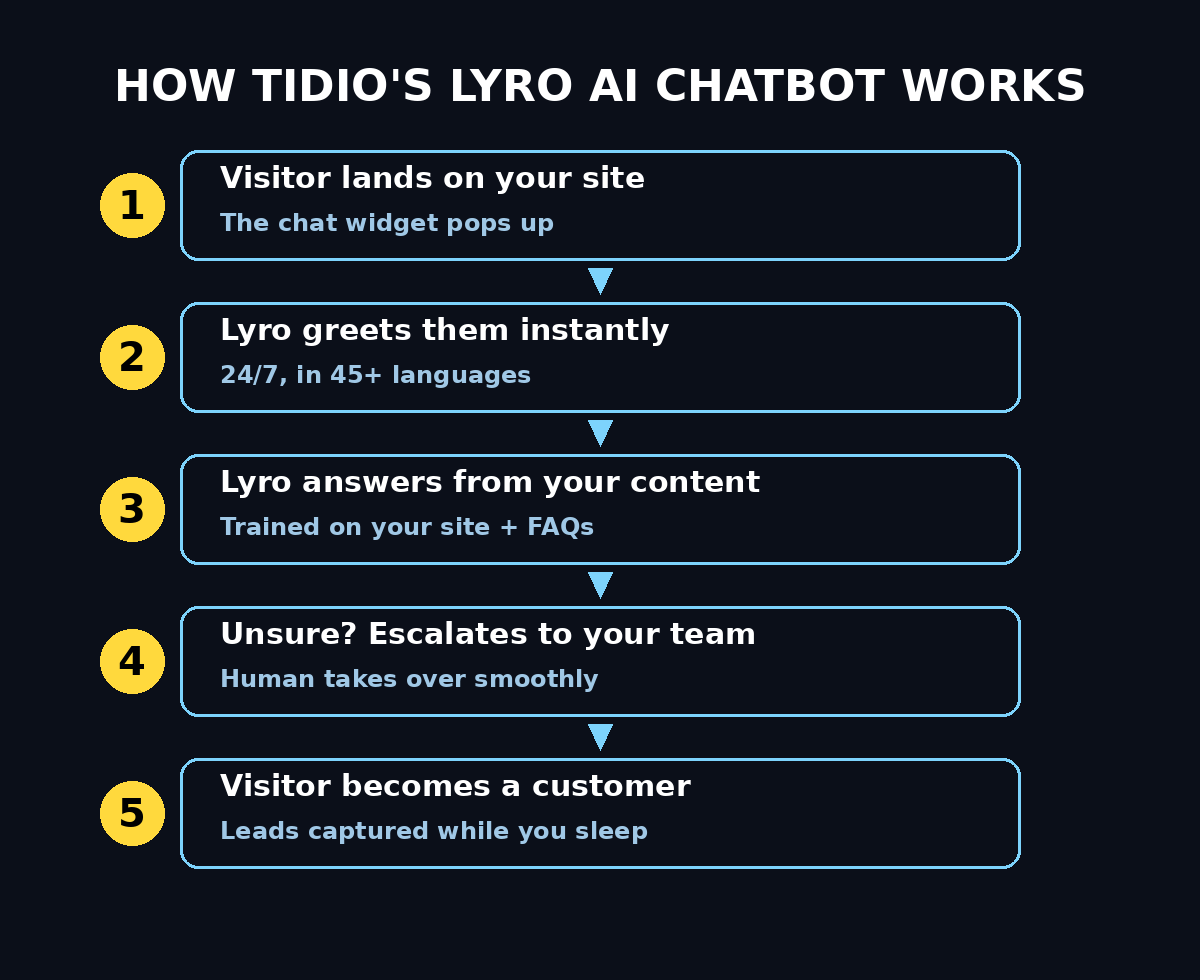 Tidio AI chatbot for beginners: how the Lyro AI chatbot works (infographic)
