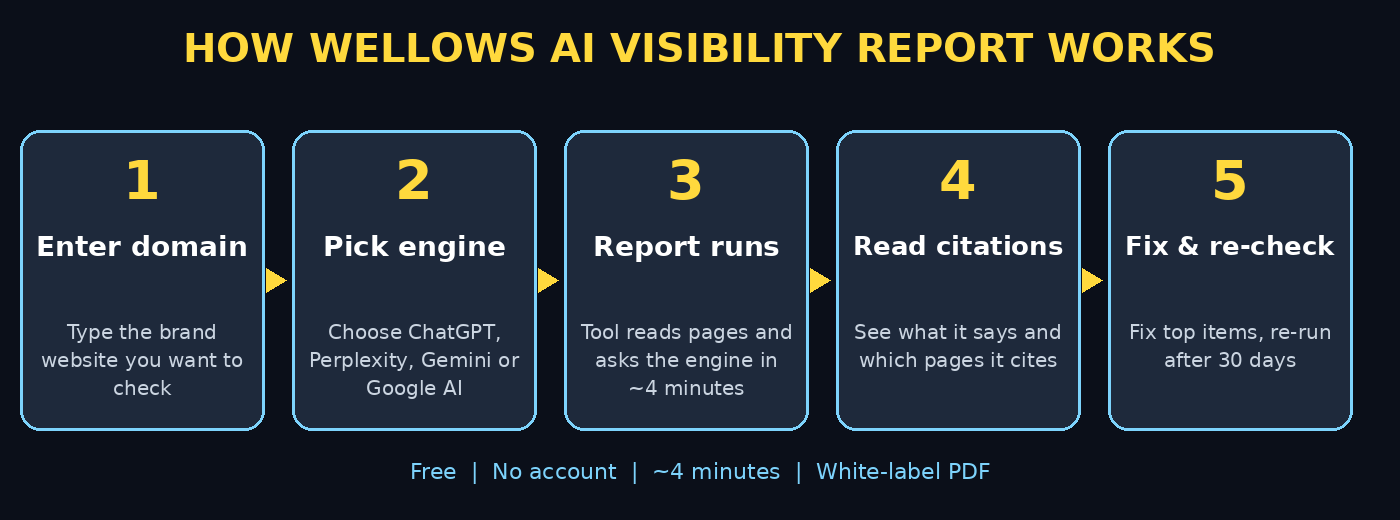 How Wellows AI Visibility Report works